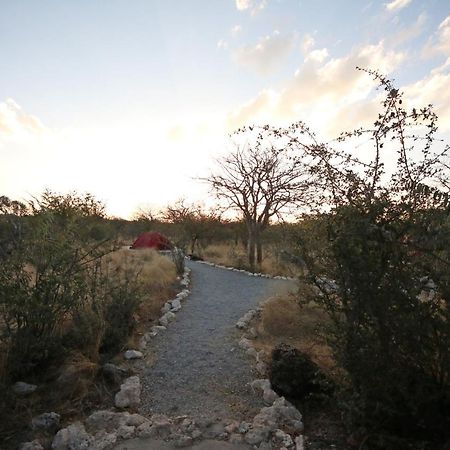 Etosha Village Campsite Okaukuejo Buitenkant foto