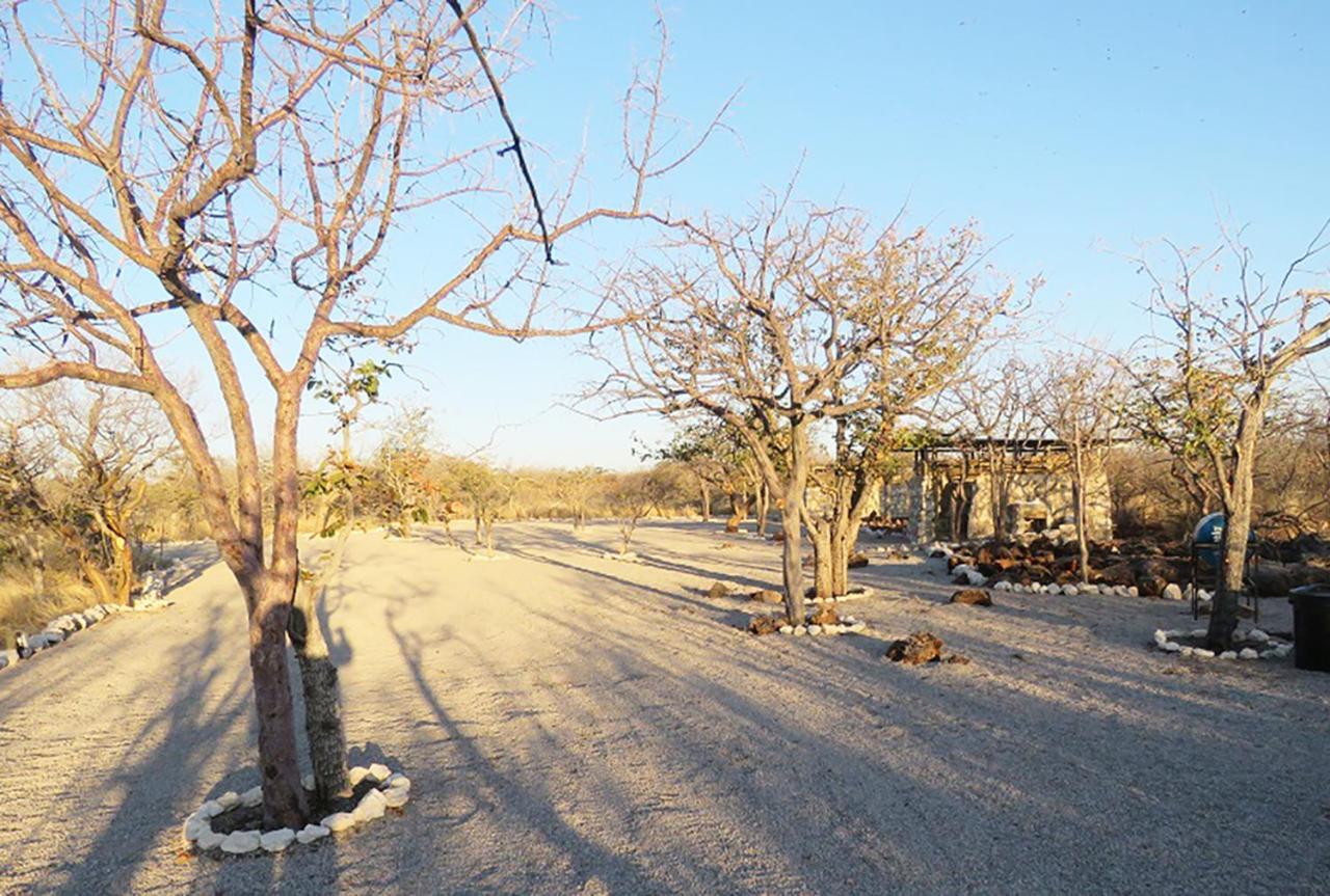 Etosha Village Campsite Okaukuejo Buitenkant foto