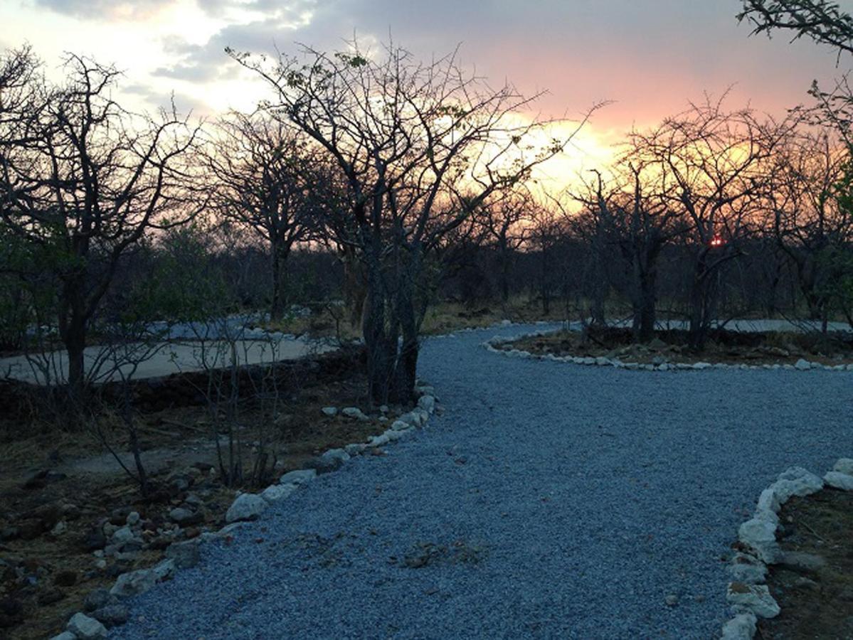 Etosha Village Campsite Okaukuejo Buitenkant foto