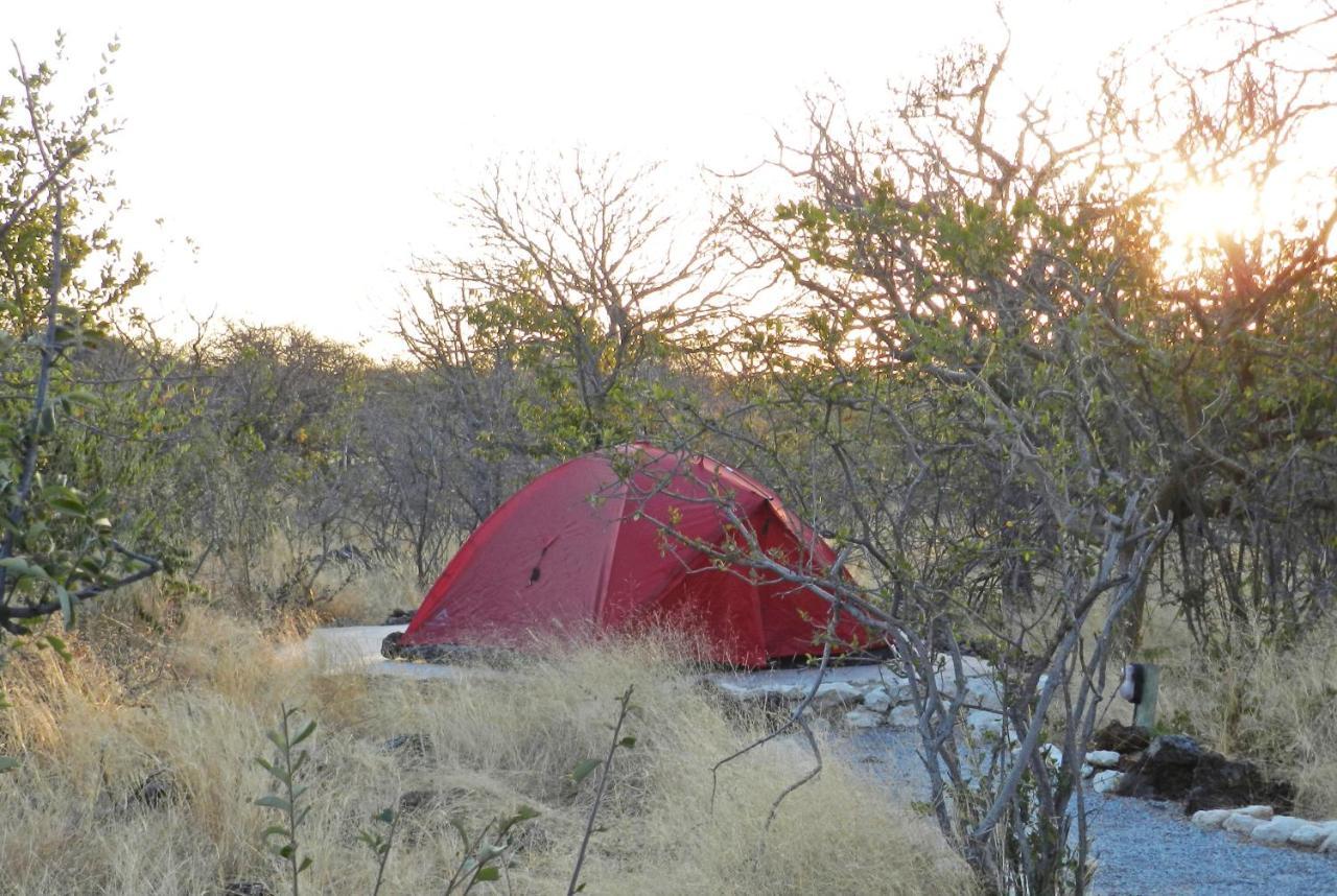 Etosha Village Campsite Okaukuejo Buitenkant foto