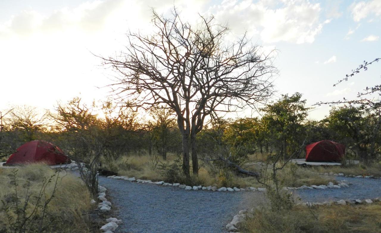 Etosha Village Campsite Okaukuejo Buitenkant foto